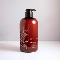 Prickly Pear, Cedar and Sage Shampoo